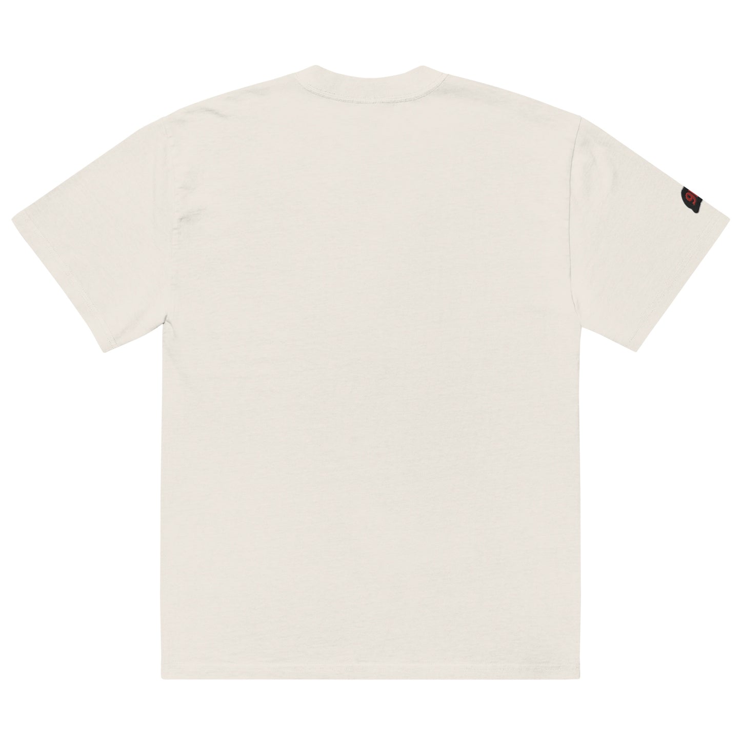 Atziluth gallery "Restricted" Oversized faded t-shirt